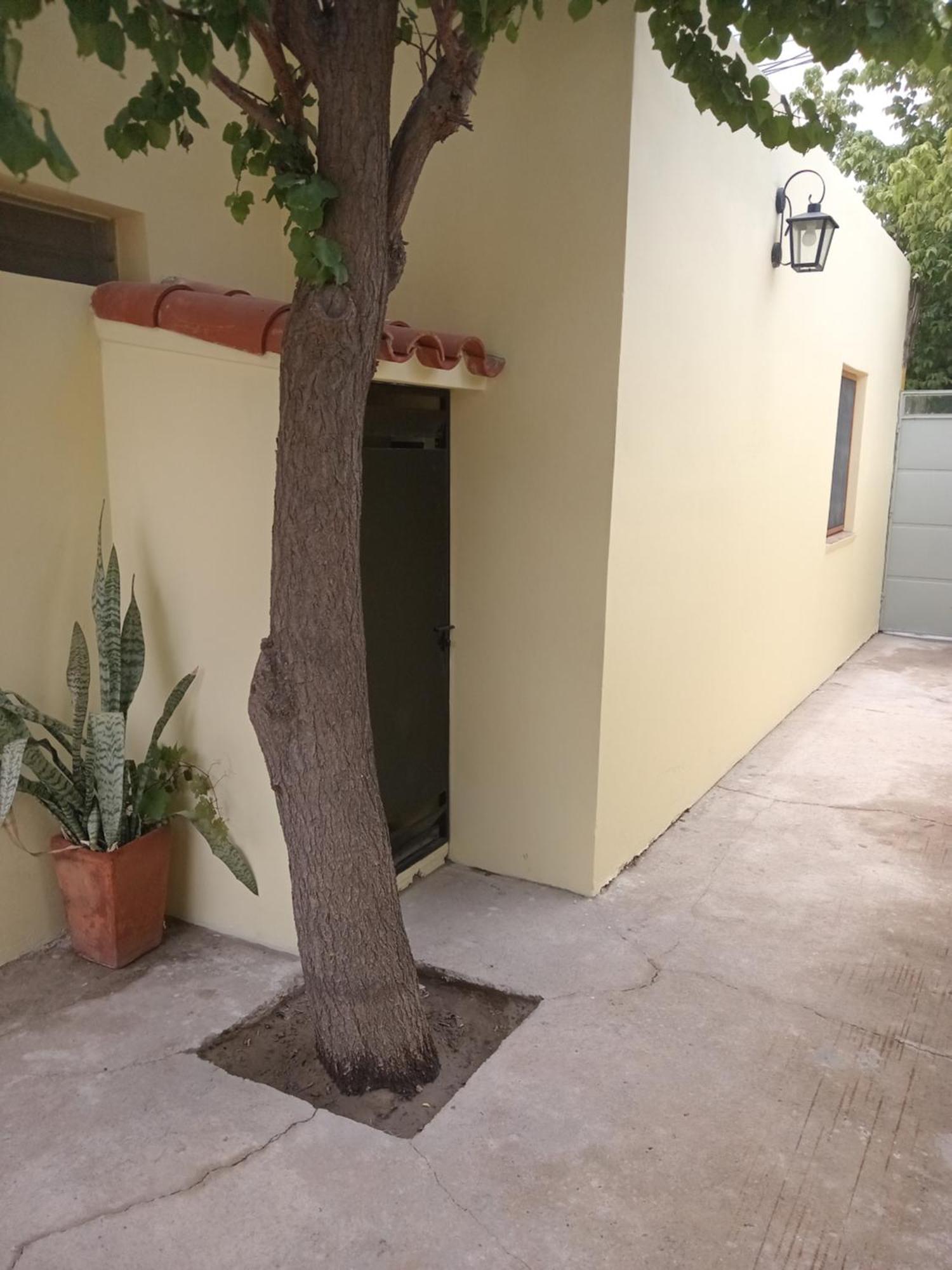 El Tonel Apartman Cafayate Kültér fotó